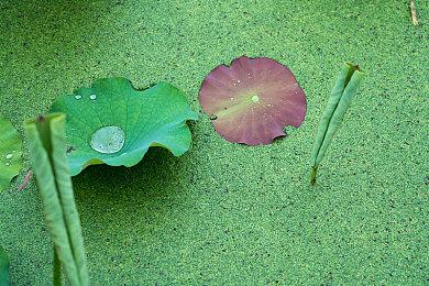 索尼报告暗示2025财年40%第一方游戏将登陆PC